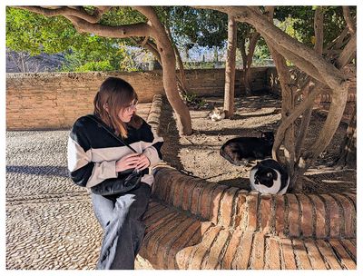 The Alhambra: Cats!