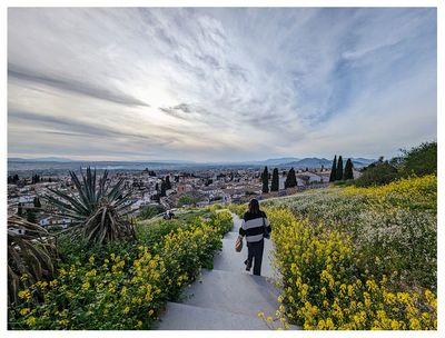 Mirador de San Miguel Alto