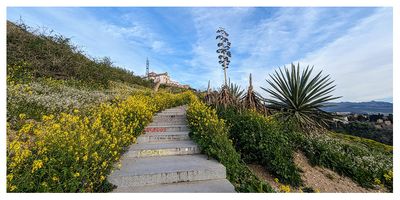 Mirador de San Miguel Alto