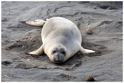 So blobby!