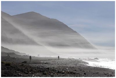 Moody morning