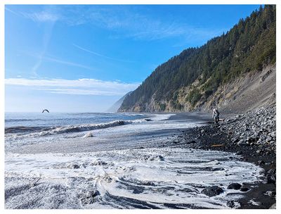The Lost Coast
