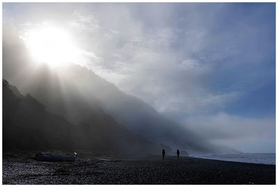 Surprise - another foggy morning!