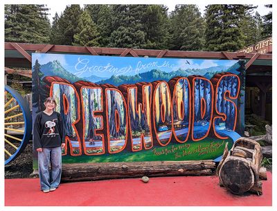 Welcome to the Redwoods!