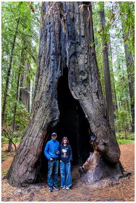 Founders Grove
