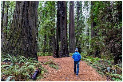 Founders Grove