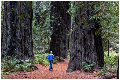 Founders Grove