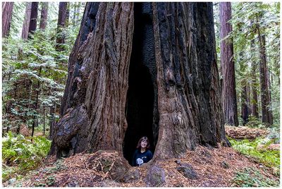 Founders Grove
