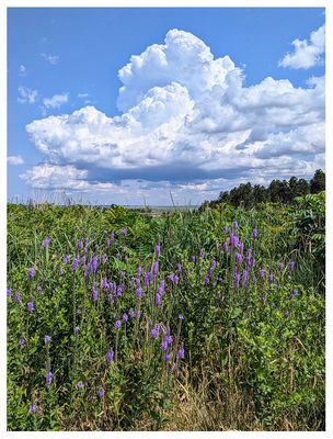 Fort Niobrara National Wildlife Refuge