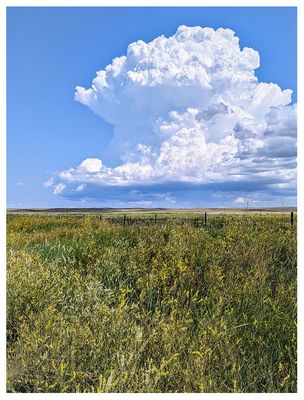 Fort Niobrara National Wildlife Refuge
