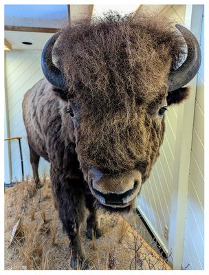 Fort Niobrara National Wildlife Refuge visitor center