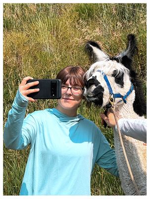 Llama selfie