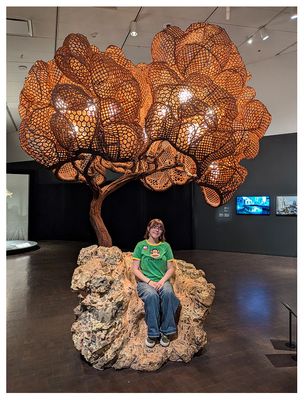 One Seater Concrete Tree by Nacho Carbonell