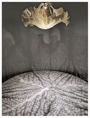 Nervous System by Jessica Rosenkrantz and Jesse Louis-Rosenberg