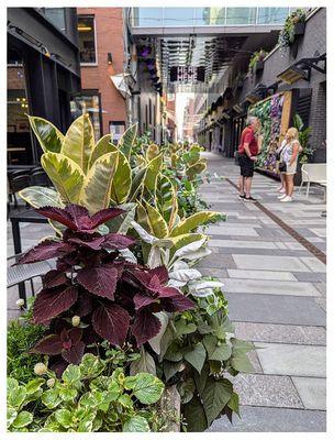 g13/62/235762/3/175043066.ca59b73a.JPEG