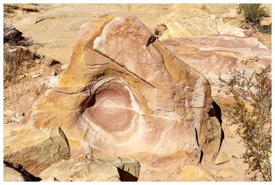 White Domes Loop