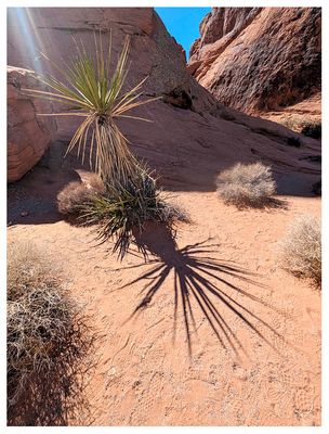 Atlatl Rock