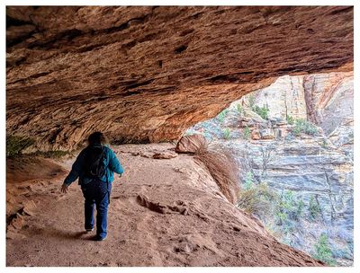 Canyon Overlook