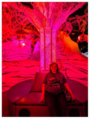 Meow Wolf: Omega Mart
