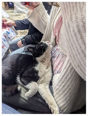 New friend