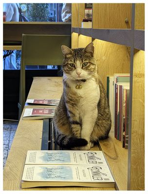 Frankestayn Kitabevi-Bookstore & Cafe