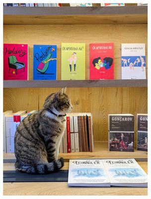 Frankestayn Kitabevi-Bookstore & Cafe