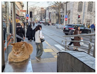 Ticket inspector