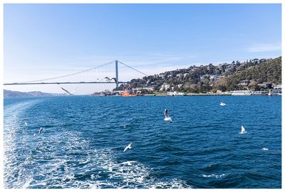 Bosphorus Cruise