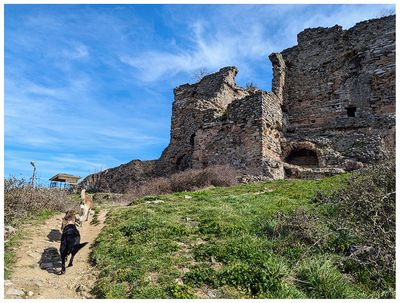 Yoros Castle