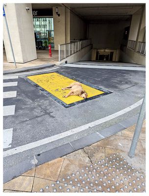 Not dead, just napping, lol