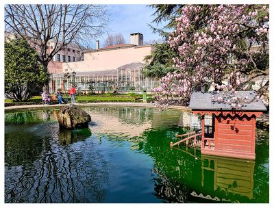 Duck pond