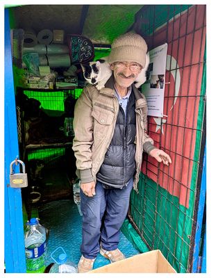 Local cat caretaker