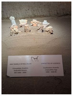 Gray Museum