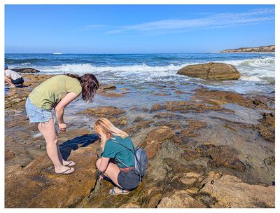 Crystal Cove State Beach