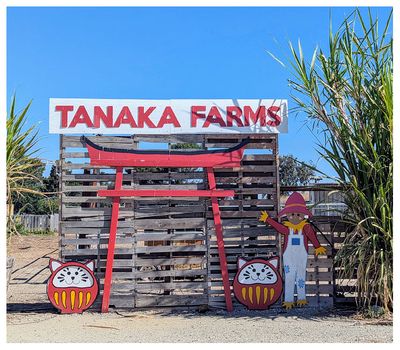 Tanaka Farms