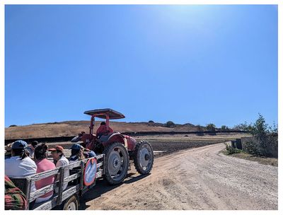 Tanaka Farms