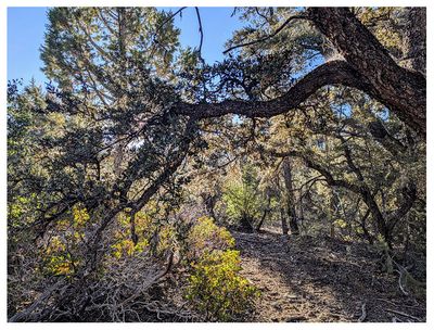 Bertha Peak hike