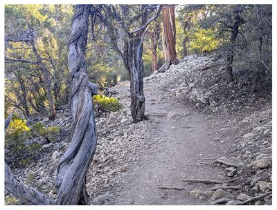 Bertha Peak hike