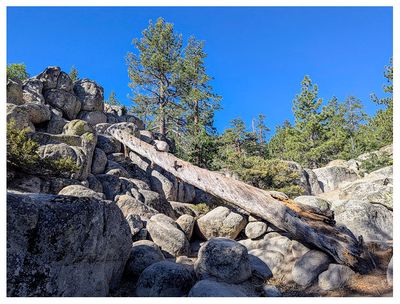 Castle Rock
