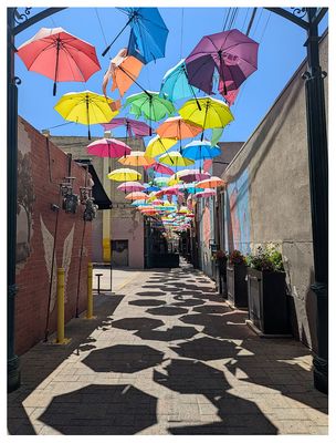 Redlands umbrellas
