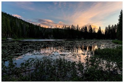 Nymph Lake