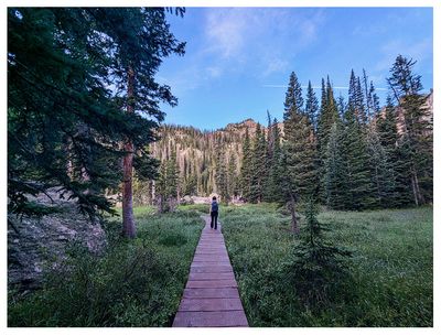 Emerald Lake Trail