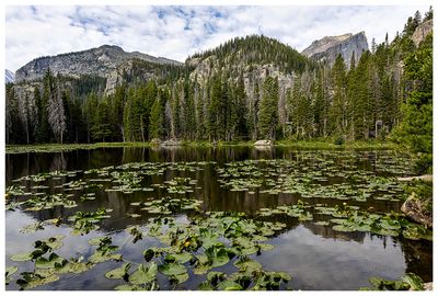 Nymph Lake