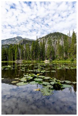 Nymph Lake