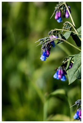 Chiming bells