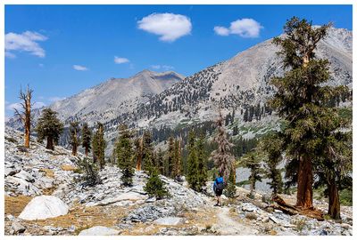 On the trail to Woods Creek