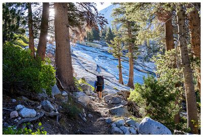 Bishop Pass Trail