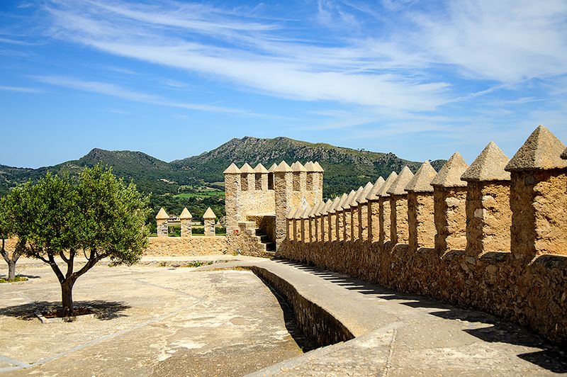 Fortress In Arta