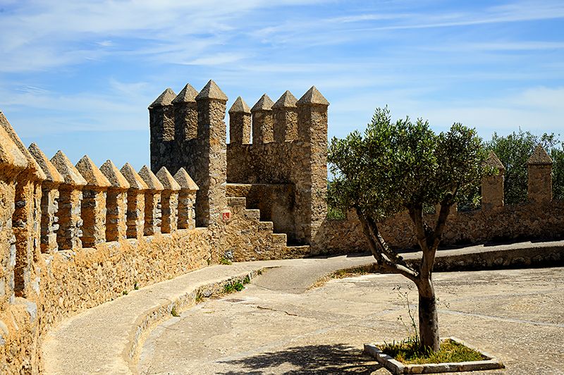 Fortress In Arta