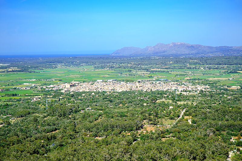 View Of Petra From Bonany Hill
